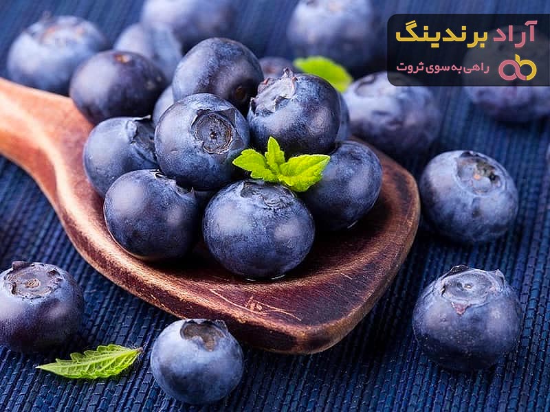 بهترین بلوبری امرالد پلاستیکی + قیمت خرید عالی