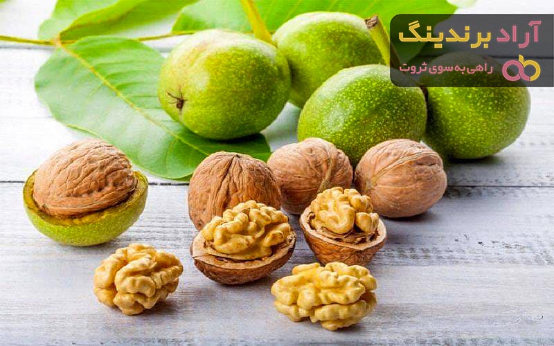 آشنایی با گردو پکان + قیمت استثنایی خرید گردو پکان