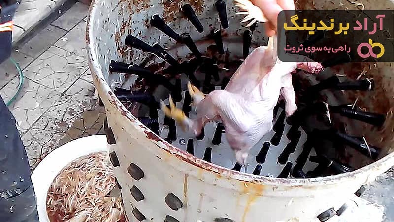 خرید و قیمت روز دستگاه پرکن مرغ صنعتی