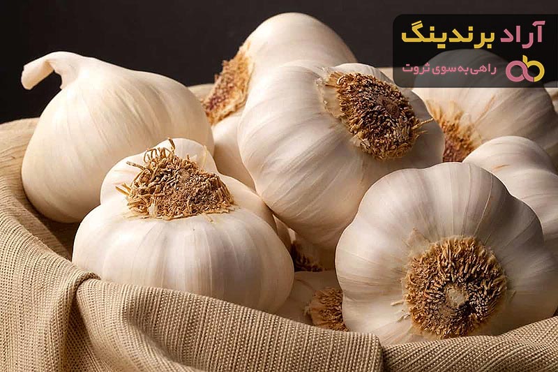 فروش سیر همدان در تهران
