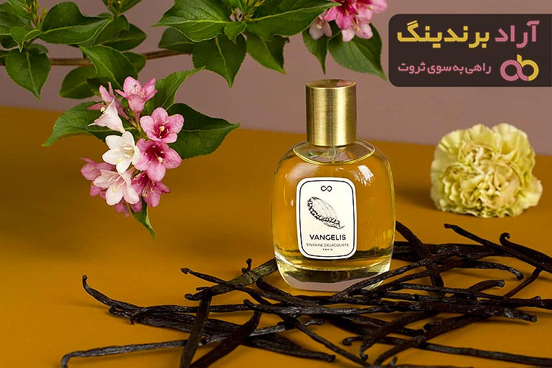 اسانس وانیل چیست؟ + قیمت خرید اسانس وانیل