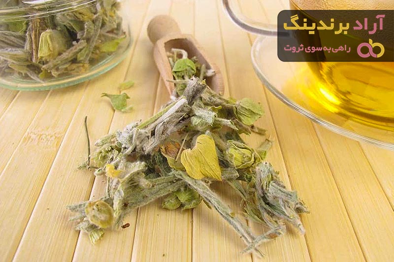 مقایسه قیمت خرید انواع چای کوهی در دی ۱۴۰۱