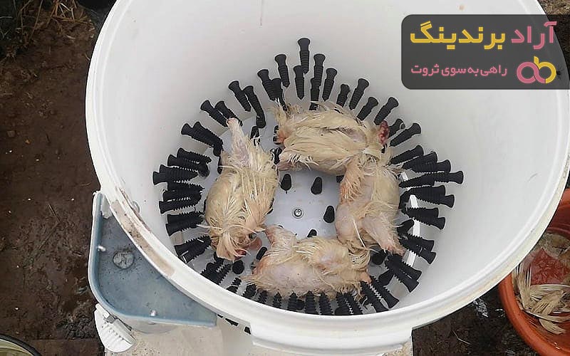 مقایسه قیمت خرید انواع مرغ پرکنی در بهمن 1401