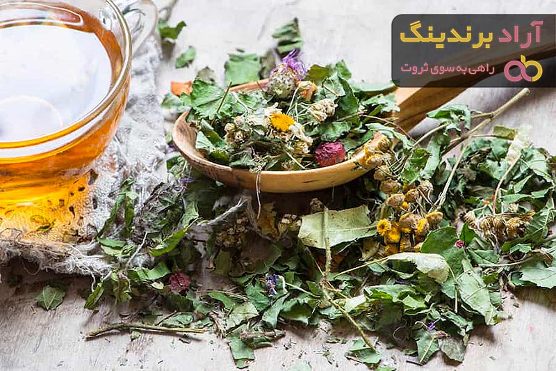 معرفی چای کوهی توکلیجه + بهترین قیمت خرید