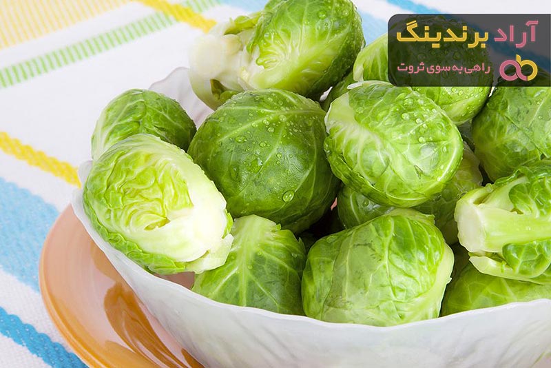 قیمت و خرید کلم سفید ترشی محلی + فروش ارزان