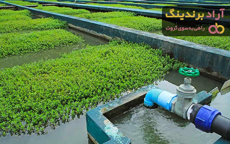 خرید پمپ آب یک اسب جتی + بهترین قیمت