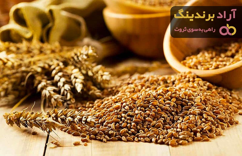 گندم مرغی (غلات) درشت خوراک دام طیور حاوی ویتامین