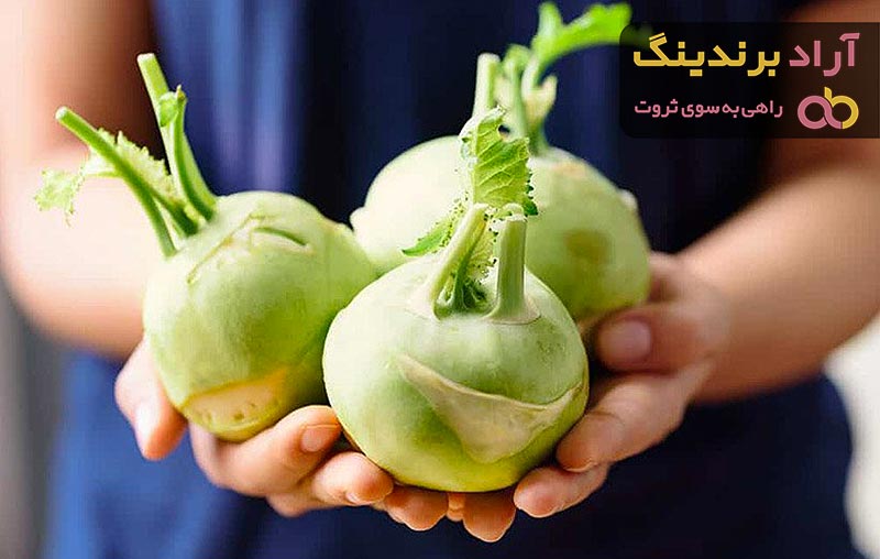 قیمت خرید کلم قمری پلو شیرازی + طرز تهیه