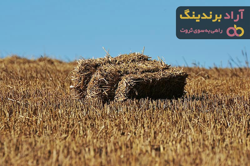 مرجع قیمت انواع یونجه خشک + خرید ارزان