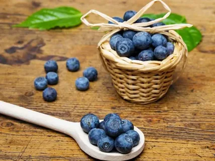 مشخصات بلوبری وحشی تازه + قیمت خرید