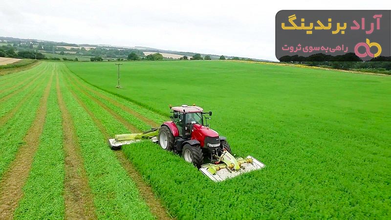 مرجع قیمت انواع یونجه سبز + خرید ارزان