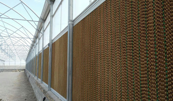 معرفی پد سلولزی گلخانه + بهترین قیمت خرید