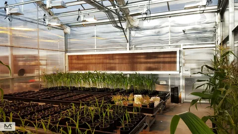 بهترین قیمت خرید پد سلولزی ماینر در همه جا اصفهان شیراز بیرجند همدان