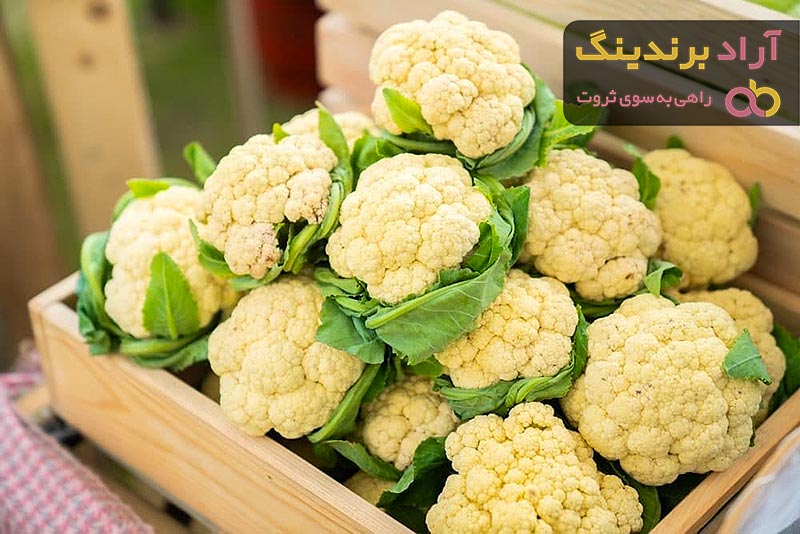 قیمت خرید گل کلم سرخ شده + عکس