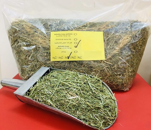 بهترین یونجه خشک کدام است؟ + مقایسه کامل | قیمت عالی