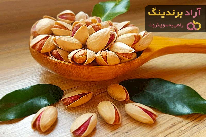 معرفی انواع پیوند هرس پسته + قیمت خرید روز