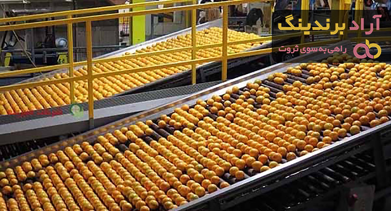 قیمت خرید دستگاه سورتینگ مرکبات + آموزش