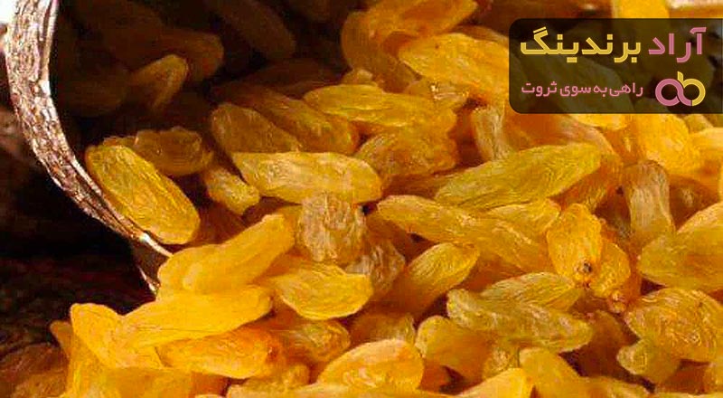 خرید کشمش سبز اراک + قیمت عالی با کیفیت تضمینی