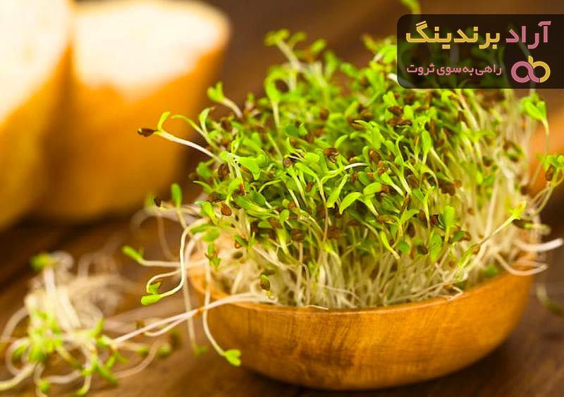 جوانه یونجه | فروشندگان قیمت مناسب جوانه یونجه