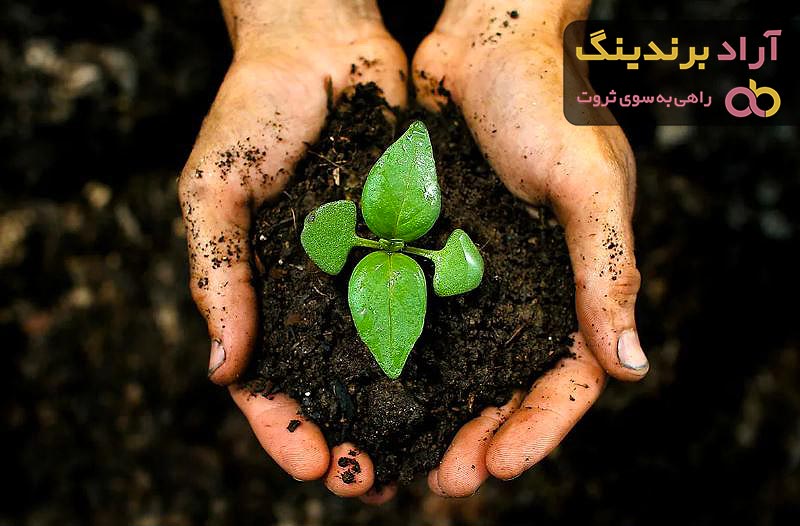 بهترین کود شیمیایی سفید کدام است؟ + مقایسه کامل | قیمت عالی