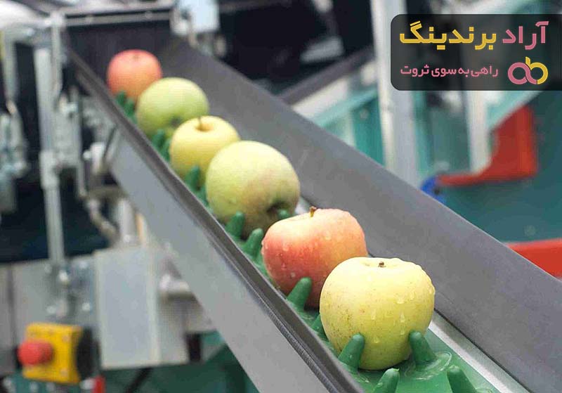 قیمت خرید دستگاه سورتینگ میوه + تست کیفیت