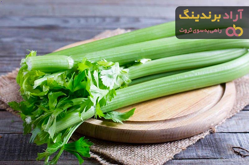 آشنایی با خواص کرفس + قیمت استثنایی خرید خواص کرفس