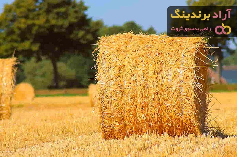 خرید بهترین انواع یونجه وحشی با قیمت ارزان