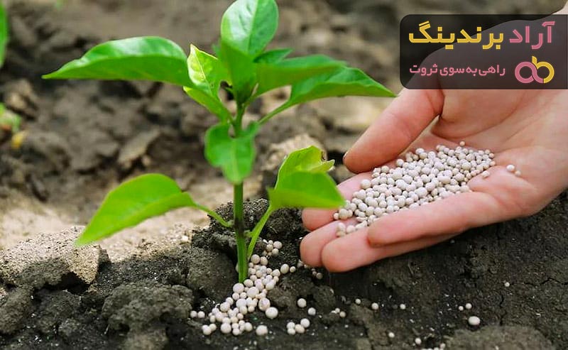 معرفی کود شیمیایی نیترات + بهترین قیمت خرید