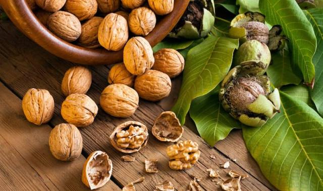 آشنایی با گردو ایرانی + قیمت استثنایی خرید گردو ایرانی