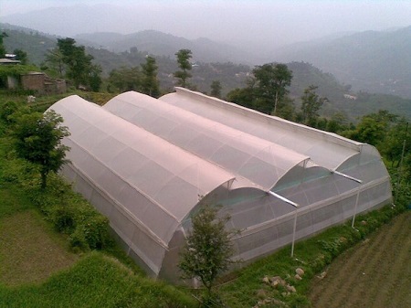 قیمت نایلن گلخانه یو وی از تولید به مصرف