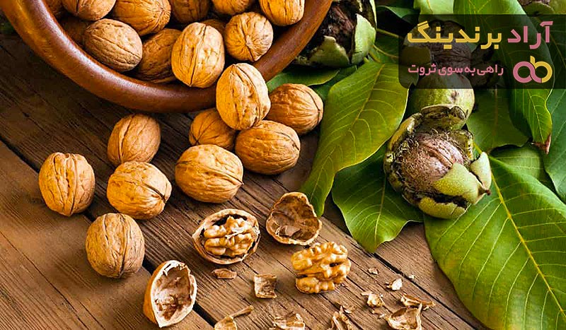 خرید و لیست قیمت گردو با بهترین کیفیت