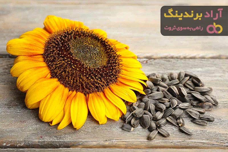 خرید تخمه آفتاب گردان | فروش انواع تخمه آفتاب گردان با قیمت مناسب