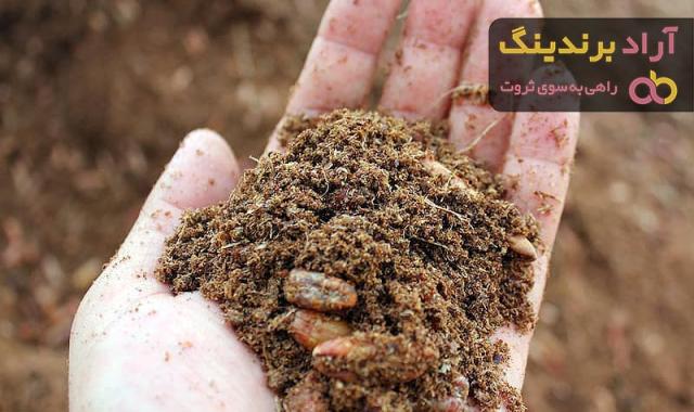 تفاله خرما چیست؟ + قیمت خرید تفاله خرما