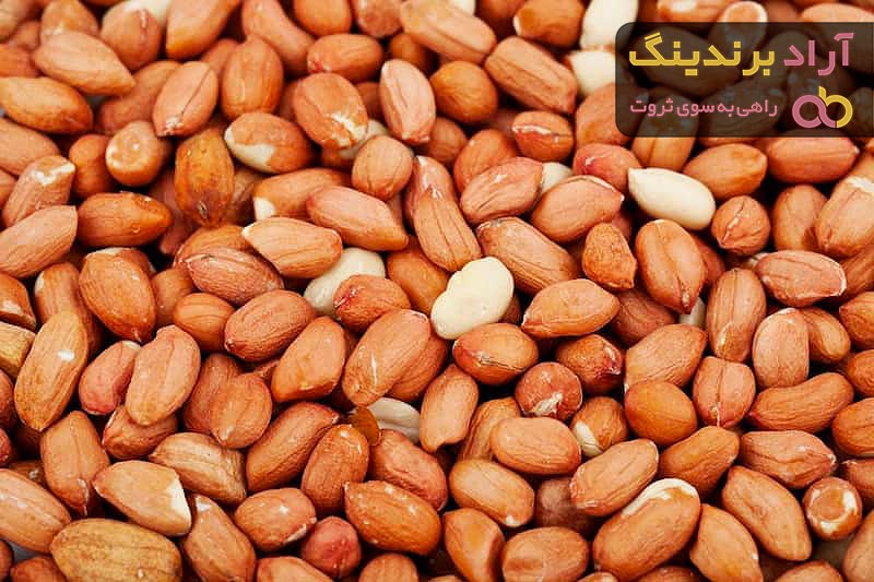 بادام زمینی برای کبد چرب | قیمت مناسب خرید عالی