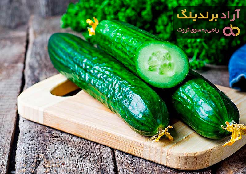 خرید بهترین انواع خیار سبز با قیمت ارزان