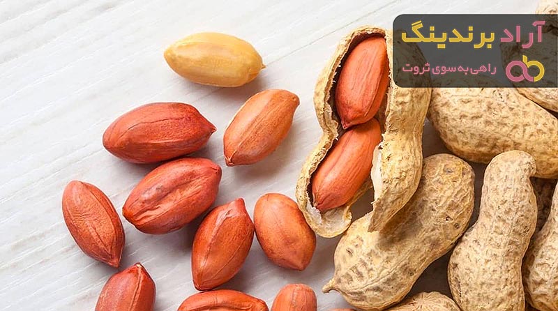 معرفی انواع خواص بادام زمینی + قیمت خرید روز