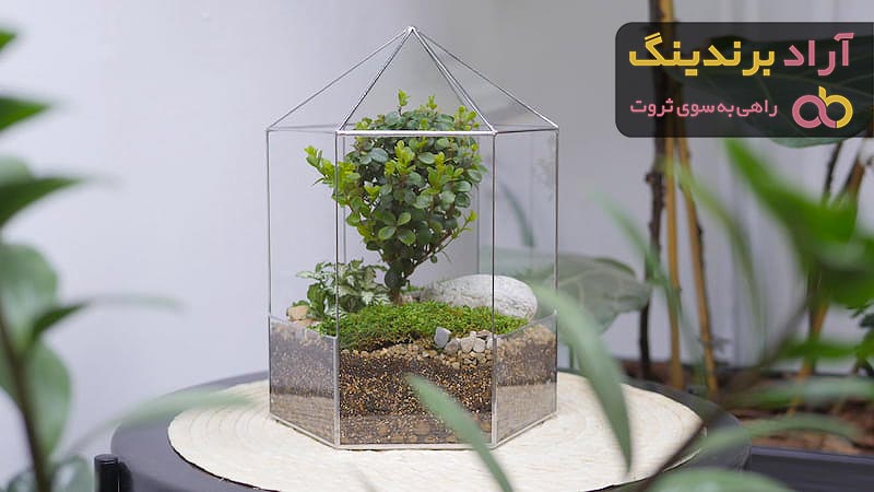 قیمت خرید جعبه شیشه ای کادو + عکس