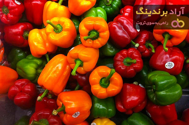 قیمت و خرید انواع فلفل دلمه ای رنگی سبز قرمز زرد نانجی