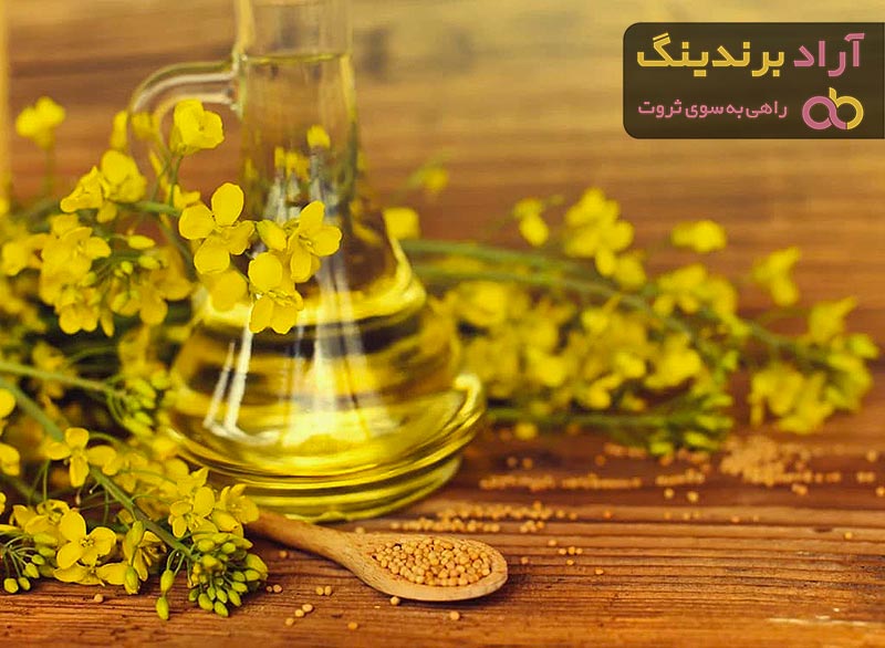 دانه روغنی کلزا + قیمت خرید، کاربرد، مصارف و خواص