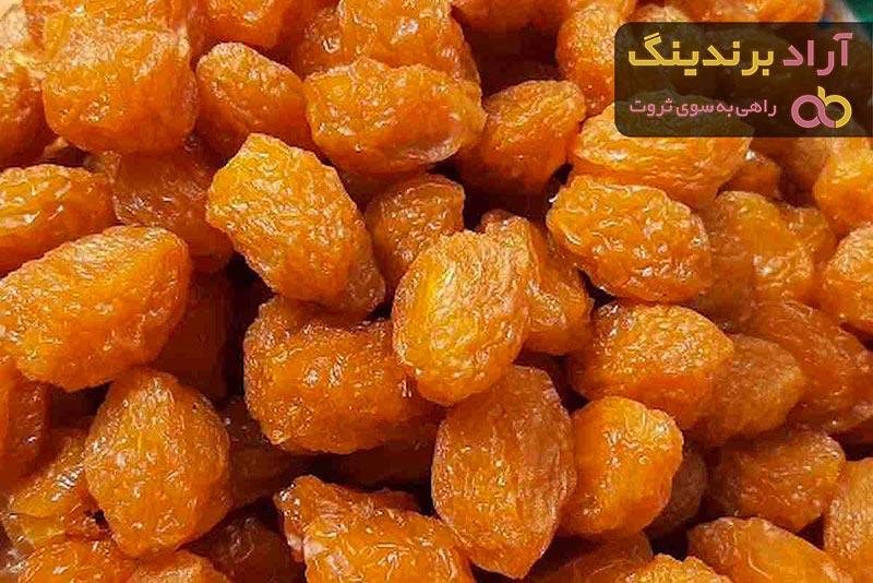 خرید انواع آلو خشک بخارا + قیمت
