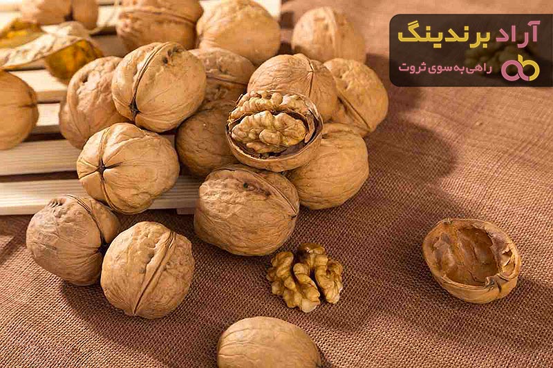 معرفی انواع گردو تویسرکان + قیمت خرید روز
