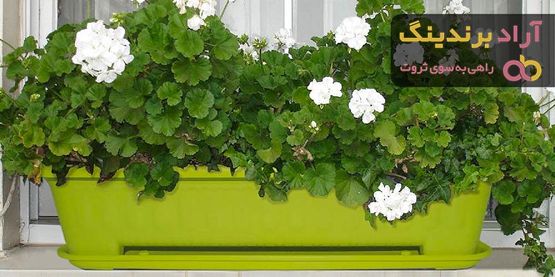 گلدان پلاستیکی مقاوم (Resistant plastic pot) + قیمت خرید عالی