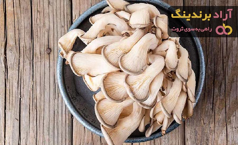 خرید و قیمت انواع قارچ صدفی خوراکی