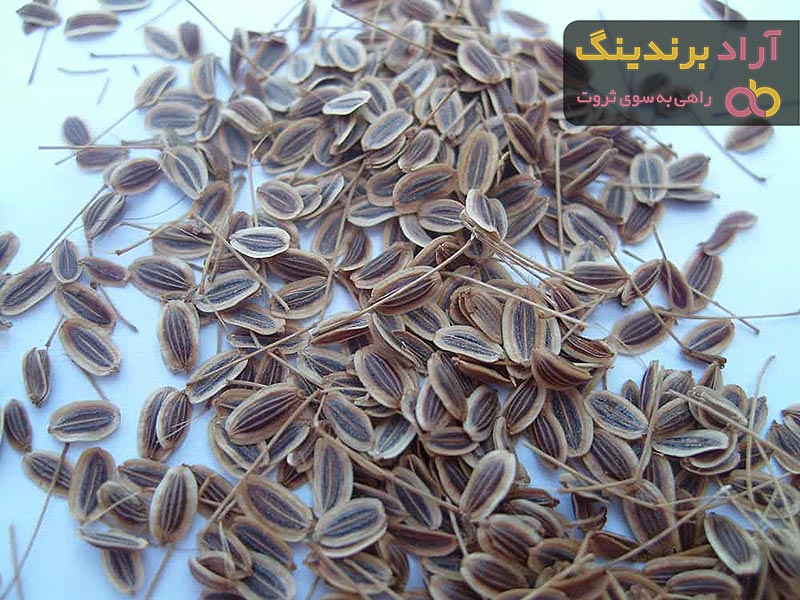 قیمت خرید عرق زنیان + مزایا و معایب