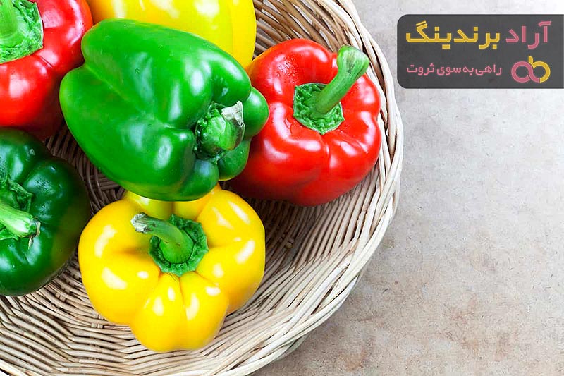 معرفی انواع فلفل دلمه ای + قیمت خرید روز