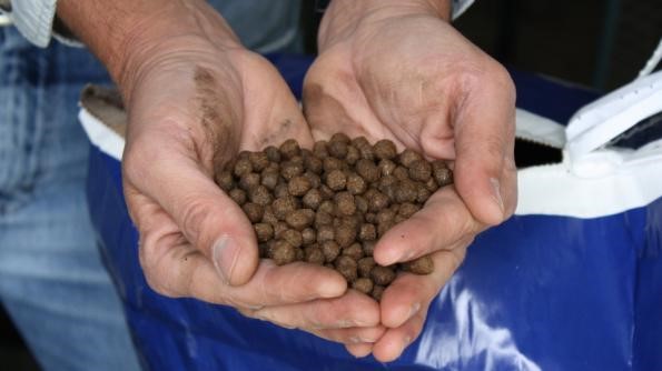 مشخصات غذا ماهی گوپی + قیمت خرید