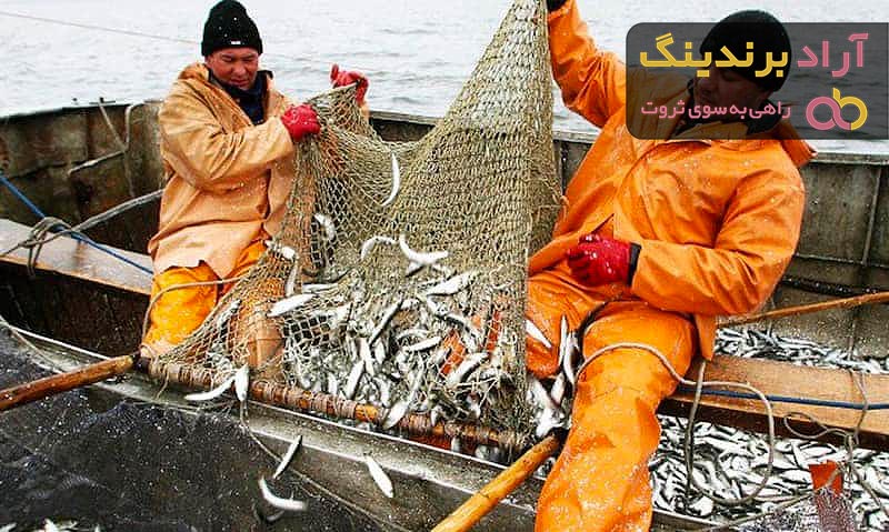 قیمت خرید لباس ماهیگیری فوکا + راهنمای استفاده