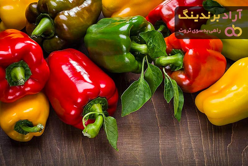 قیمت خرید فلفل دلمه ای + مزایا و معایب