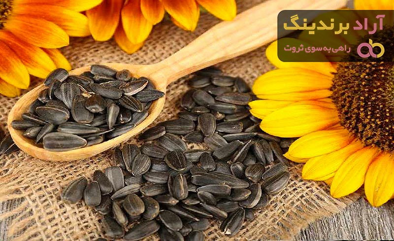 قیمت خرید تخمه افتابگردان شیراز + تست کیفیت