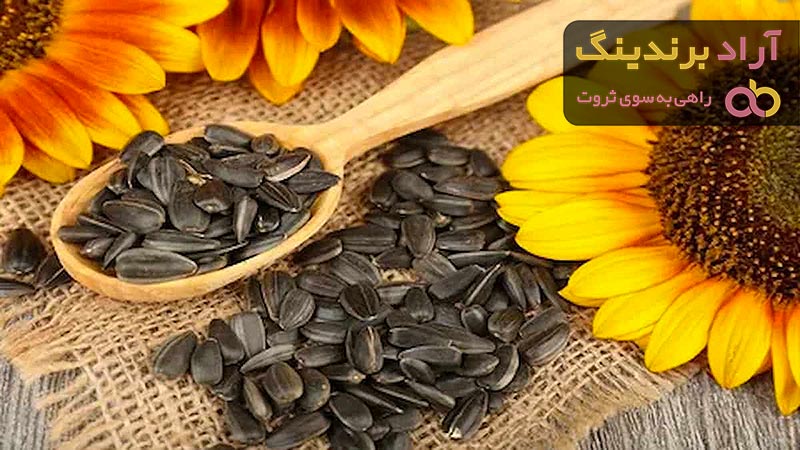 قیمت تخمه آفتابگردان خام + مشخصات بسته بندی عمده و ارزان